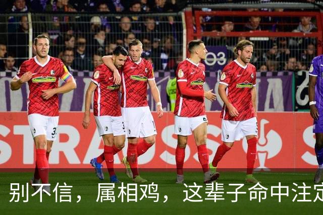 别不信，属相鸡，这辈子命中注定的伴侣，很多是这4个样子